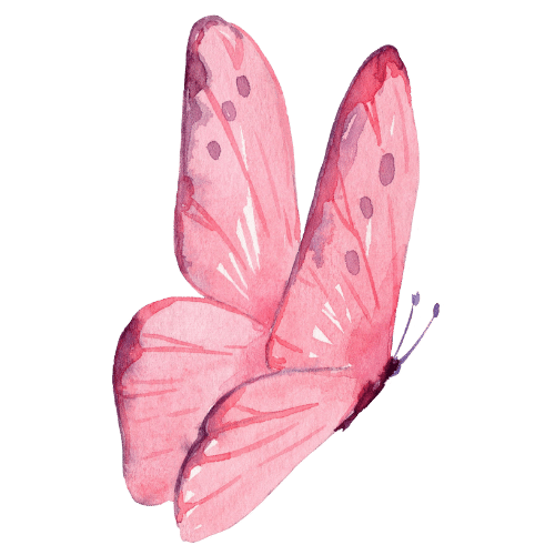 Karen Lange Pink Butterfly